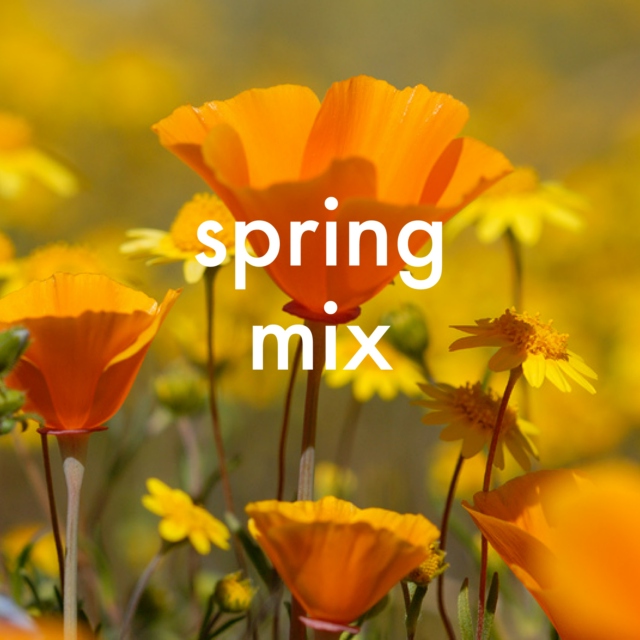 Spring Mix!