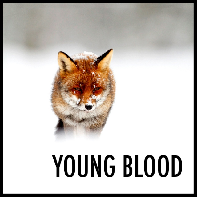 Young Blood Vol.1 - DJ Danayasuperstar
