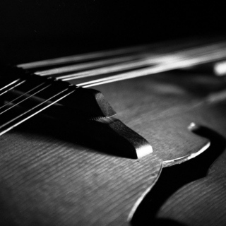 The Sound of The Mandolin 