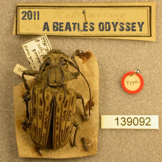2011 - A Beatles Odyssey