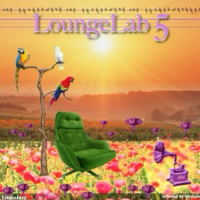 Loungelab 5 