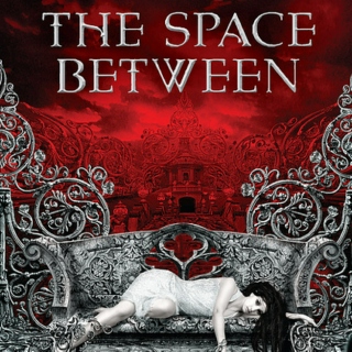 The Space Between (2011)