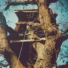 You + Me + This Treehouse