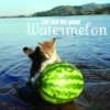 Let Me Be Your Watermelon
