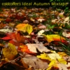Ideal Autumn '08 Mixtape