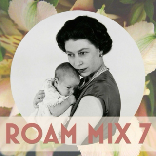 ROAM MIX 7