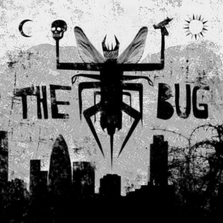 4--the bug 