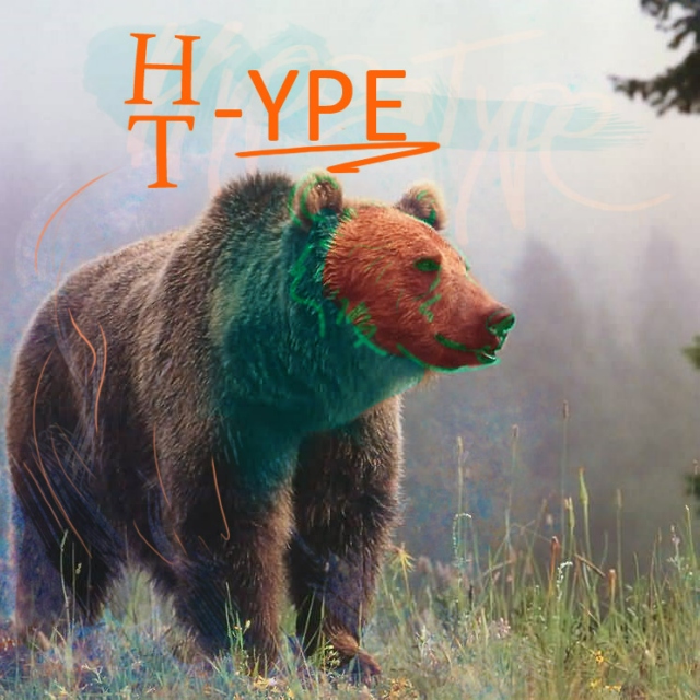 Hype-Type
