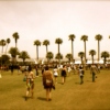 Friday at Coachella 2011