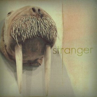 stranger.