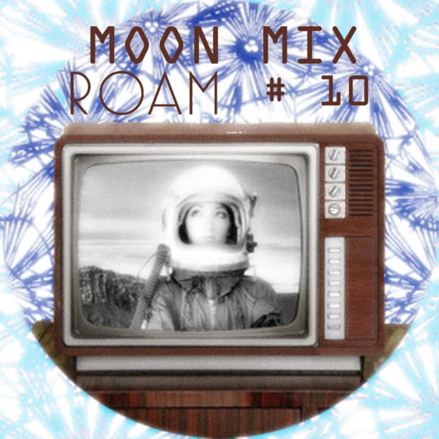 Moon Mix ROAM 10