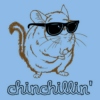 Chinchillin'