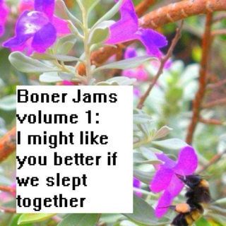 Boner Jams Volume 1: I might like you better if we slept together