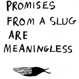 Promises from a slug are meaningless