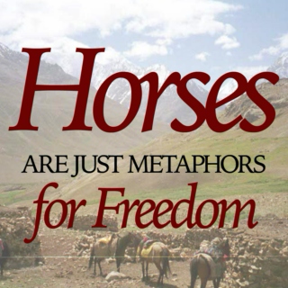 Horses Are Just Metaphors For Freedom