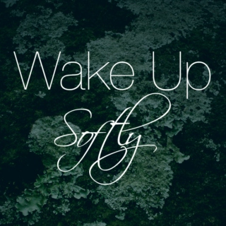 Wake Up Softly