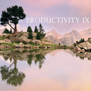 Productivity IX