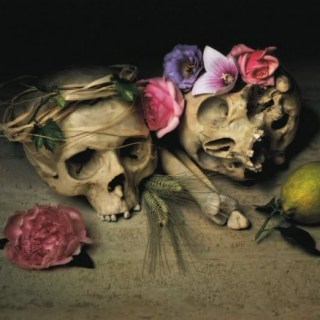 flowers blooming from skull sockets