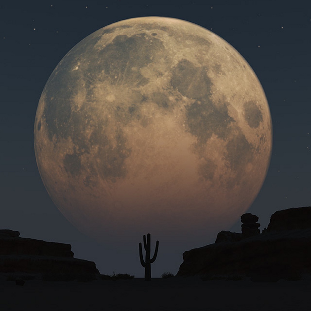 The moon is beautiful. Луна в пустыне. Луна над пустыней. Полнолуние в пустыне. Восходящая Луна.