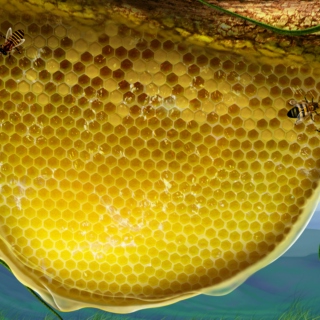 Honeycomb Shapeshifter