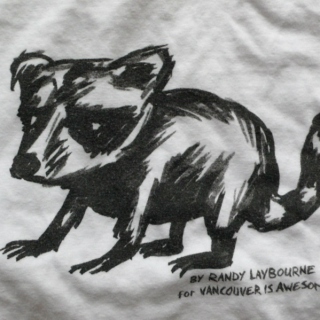 Raccoon Shirt Mix