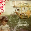 dfbm #19 - blooomy