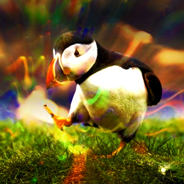 Dubstep Puffin is Pleased