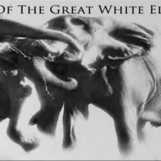 Curse of the Great White Elephant Weekly Playlist #5: Insert Theme Here