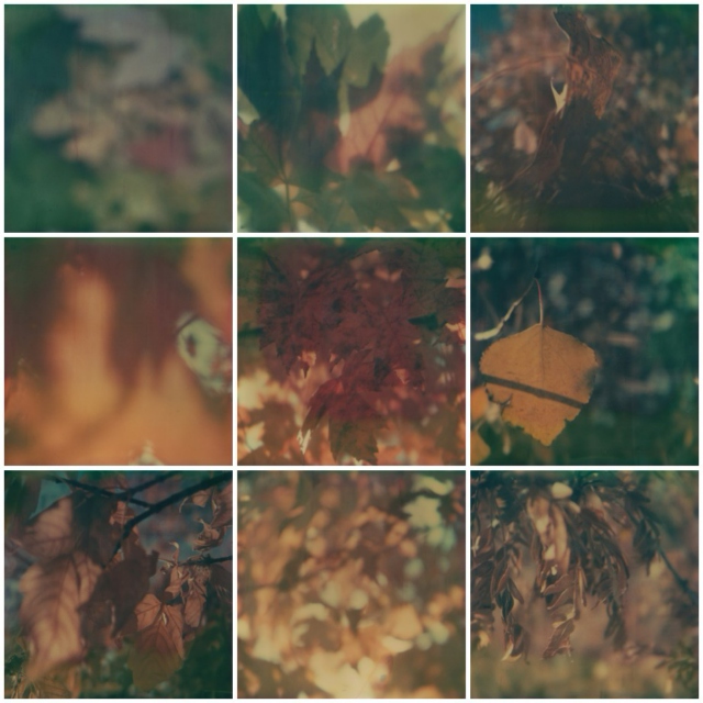 autumnsongs