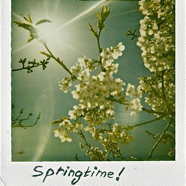 Springtime! The sun is high (so am I)