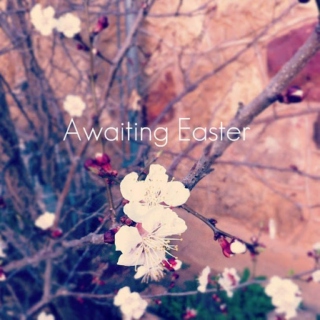 Awaiting Easter