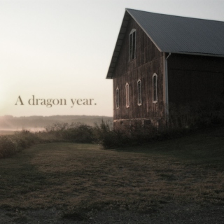 A dragon year.