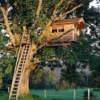 My Treehouse Dream