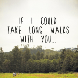 If I Could Take Long Walks With You...
