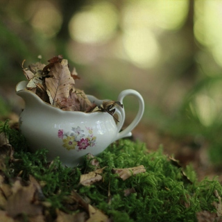 Cup Of Autumn Music Mix