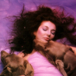 the hounds of love