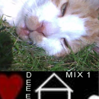 Dee-eep House Mix 1