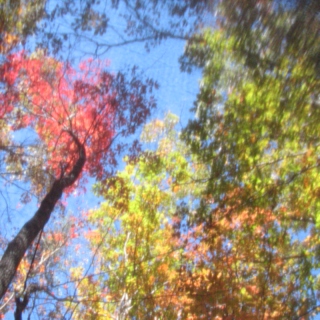 A Change in Seasons- Fall