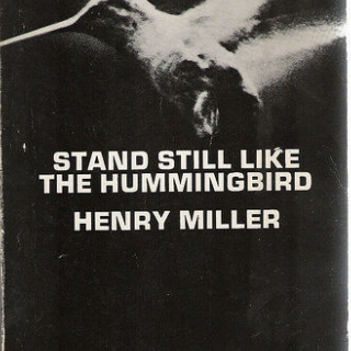 Stand Still Like The Hummingbird