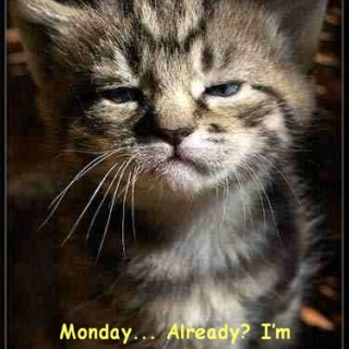 Monday . . . 