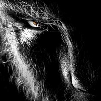 Howling: Werewolf Mix