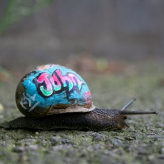 Btrxz's Jean P. Snail Dreamed Of The Ghetto (An Existential Threat) #200