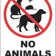 Me + Animals = Bad Times
