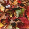 prettynewsongs' fall into autumn mix