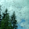 Rain pours outside your window.