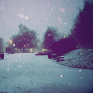 Winter; snowflakes.