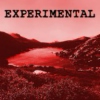 Best of 2010: Experimental
