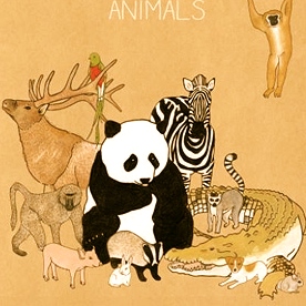 animals. animals. 