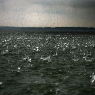 Like Silent Raindrops Falling