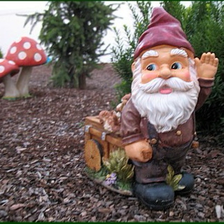 hang out with the gnomes more often